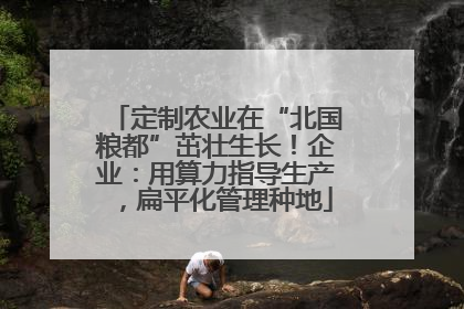 定制农业在“北国粮都”茁壮生长！企业：用算力指导生产，扁平化管理种地