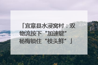 宜章县水浸窝村：双物流按下“加速键” 杨梅锁住“枝头鲜”