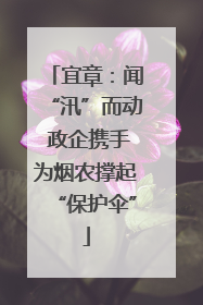 宜章：闻“汛”而动 政企携手为烟农撑起“保护伞”