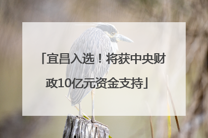 宜昌入选！将获中央财政10亿元资金支持