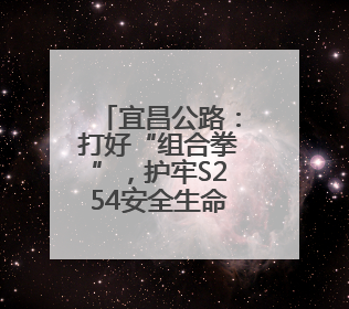 宜昌公路：打好“组合拳”，护牢S254安全生命线