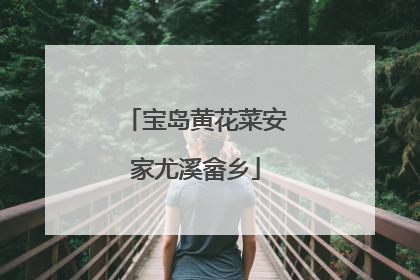 宝岛黄花菜安家尤溪畲乡