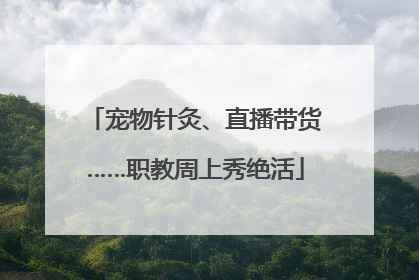 宠物针灸、直播带货……职教周上秀绝活