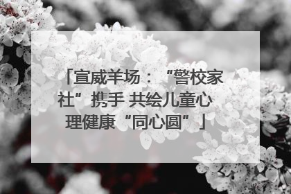 宣威羊场：“警校家社”携手 共绘儿童心理健康“同心圆”