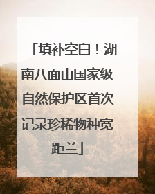 填补空白！湖南八面山国家级自然保护区首次记录珍稀物种宽距兰