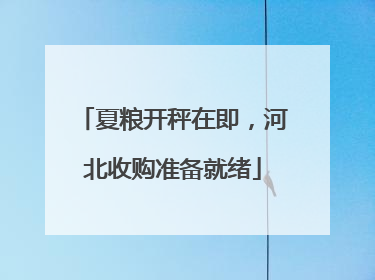 夏粮开秤在即，河北收购准备就绪
