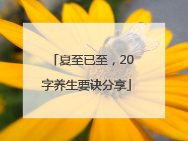 夏至已至，20字养生要诀分享