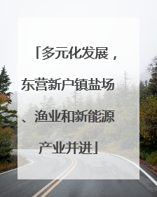 多元化发展，东营新户镇盐场、渔业和新能源产业并进