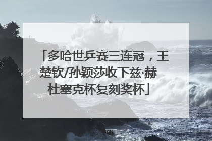 多哈世乒赛三连冠，王楚钦/孙颖莎收下兹·赫杜塞克杯复刻奖杯