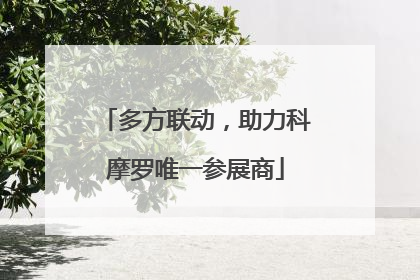 多方联动，助力科摩罗唯一参展商