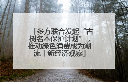 多方联合发起“古树名木保护计划”，推动绿色消费成为潮流丨新经济观察