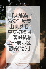 大熊猫“渝爱”反复出现脱毛 重庆动物园：暂时转移至非展示区静养治疗