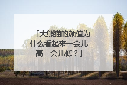 大熊猫的颜值为什么看起来一会儿高一会儿低？