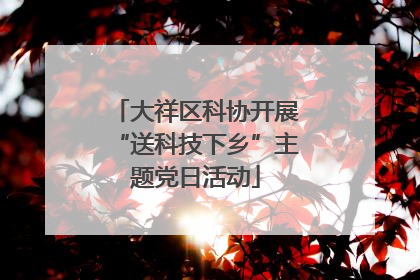 大祥区科协开展“送科技下乡”主题党日活动