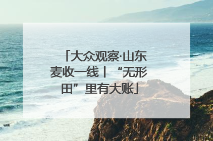 大众观察·山东麦收一线丨“无形田”里有大账