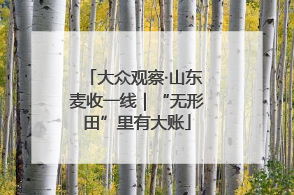 大众观察·山东麦收一线｜“无形田”里有大账