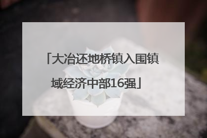 大冶还地桥镇入围镇域经济中部16强
