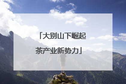 大别山下崛起茶产业新势力