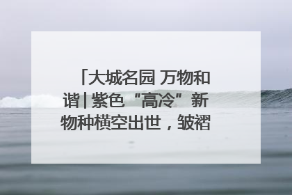 大城名园 万物和谐│紫色“高冷”新物种横空出世，皱褶叶片暗藏进化密码
