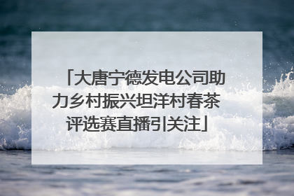 大唐宁德发电公司助力乡村振兴坦洋村春茶评选赛直播引关注