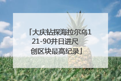 大庆钻探海拉尔乌121-90井日进尺 创区块最高纪录