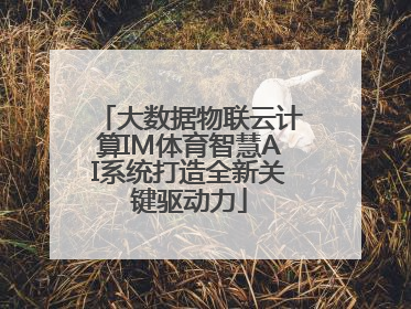 大数据物联云计算IM体育智慧AI系统打造全新关键驱动力