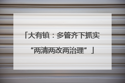 大有镇：多管齐下抓实“两清两改两治理”