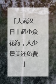 大武汉一日丨超小众花海，人少景美还免费