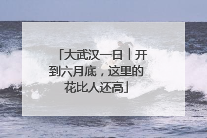 大武汉一日︱开到六月底，这里的花比人还高