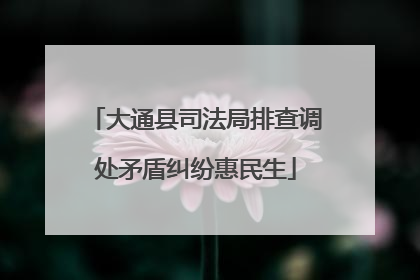 大通县司法局排查调处矛盾纠纷惠民生