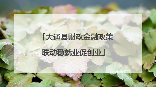 大通县财政金融政策联动稳就业促创业