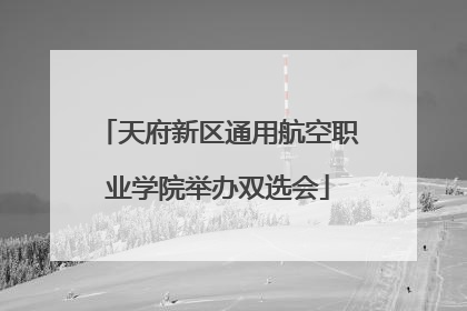 天府新区通用航空职业学院举办双选会