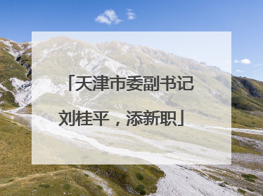 天津市委副书记刘桂平，添新职