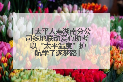 太平人寿湖南分公司多地联动爱心助考 以“太平温度”护航学子逐梦路