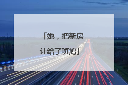 她，把新房让给了斑鸠