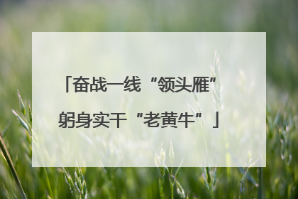 奋战一线“领头雁” 躬身实干“老黄牛”
