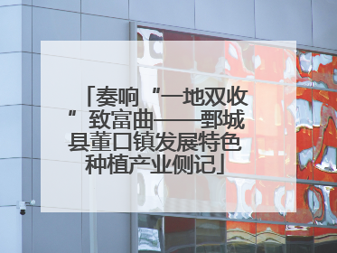 奏响“一地双收”致富曲——鄄城县董口镇发展特色种植产业侧记