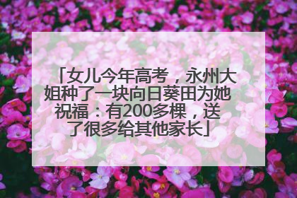 女儿今年高考，永州大姐种了一块向日葵田为她祝福：有200多棵，送了很多给其他家长