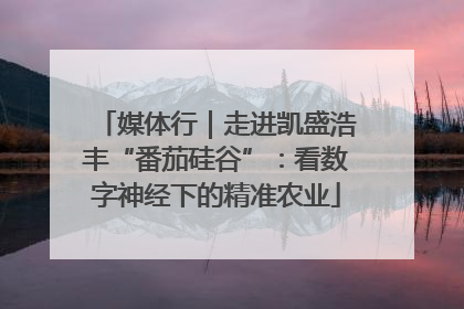 媒体行｜走进凯盛浩丰“番茄硅谷”：看数字神经下的精准农业