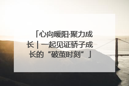 心向暖阳·聚力成长｜一起见证骄子成长的“破茧时刻”