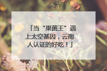 当“果菌王”遇上太空基因，云南人认证的好吃！