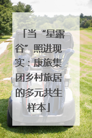 当“星露谷”照进现实：康旅集团乡村旅居的多元共生样本