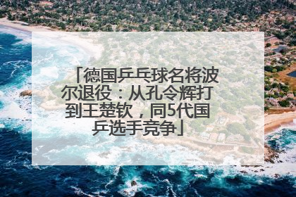 德国乒乓球名将波尔退役：从孔令辉打到王楚钦，同5代国乒选手竞争