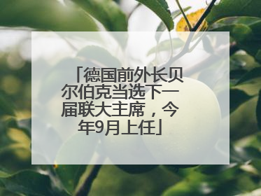 德国前外长贝尔伯克当选下一届联大主席，今年9月上任