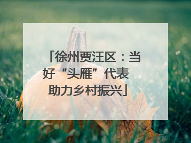 徐州贾汪区：当好“头雁”代表 助力乡村振兴
