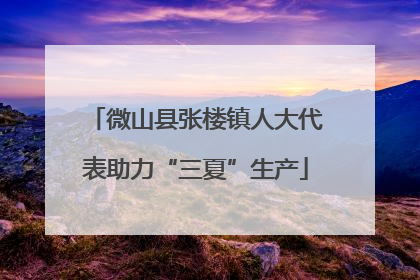 微山县张楼镇人大代表助力“三夏”生产