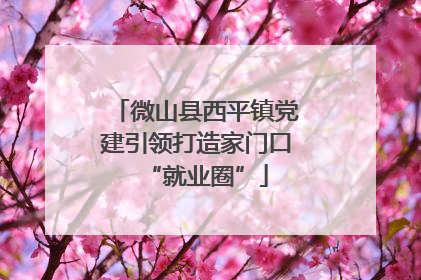 微山县西平镇党建引领打造家门口“就业圈”