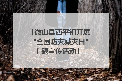微山县西平镇开展“全国防灾减灾日”主题宣传活动
