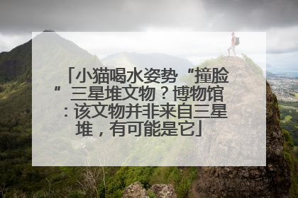 小猫喝水姿势“撞脸”三星堆文物？博物馆：该文物并非来自三星堆，有可能是它