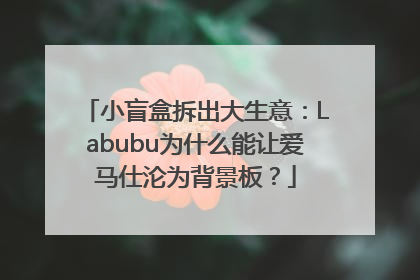 小盲盒拆出大生意：Labubu为什么能让爱马仕沦为背景板？
